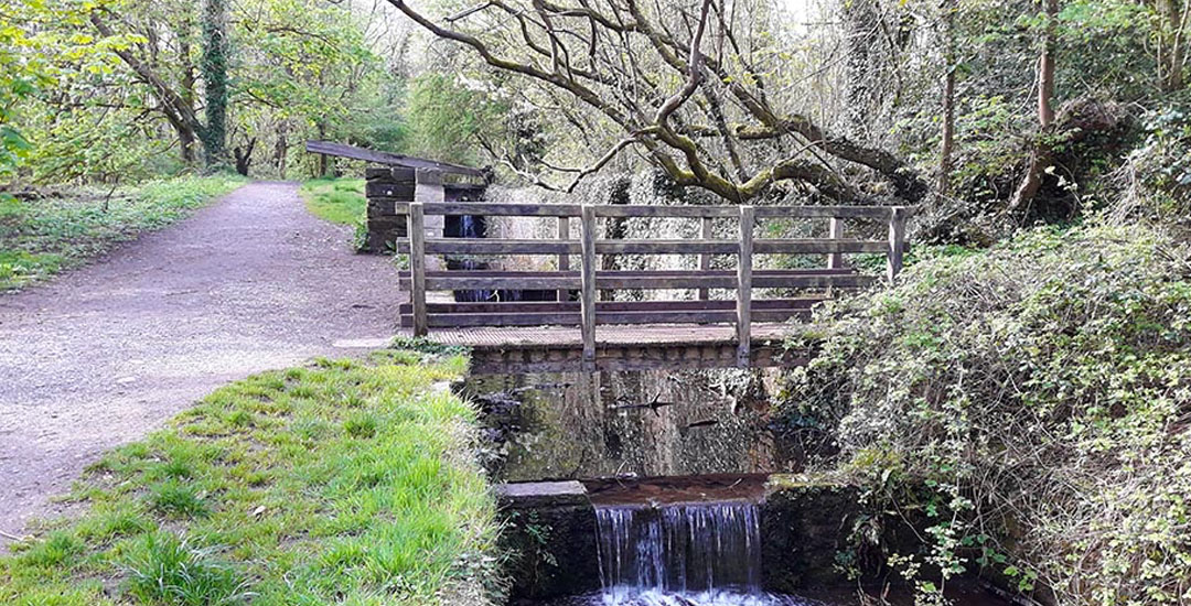 A shot of a small bridge over flowing water at Forest Farm 